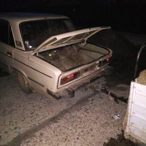 В Измаильском районе правоохранители разоблачили автомобиль с ворованным стадом овец