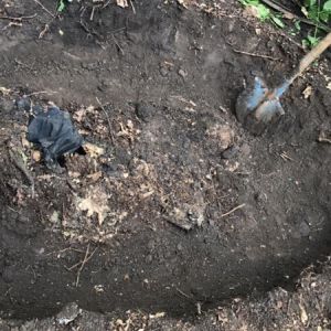Одесситка, которая поехала на свидание и пропала, найдена мертвой в Беляевском районе