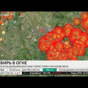 Горит Сибирь: площадь лесных пожаров сравнялась с территорией Бельгии  (ВИДЕО)