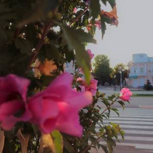 Погода в Измаиле 5 августа
