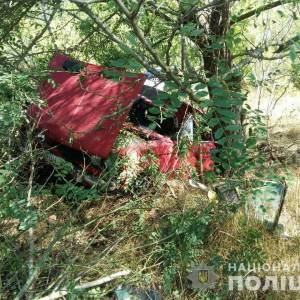 В Одесской области «ВАЗ» на скорости въехал в дерево: водитель скончался на месте