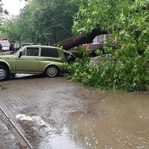 По Украине прошелся ураган: погибла молодая девушка, три области без электричества (ФОТО, ВИДЕО)
