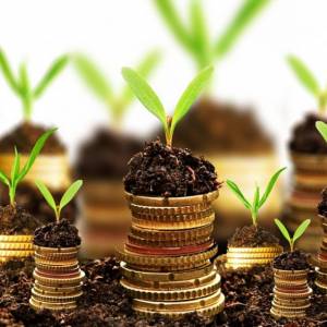 Рынок земли может заработать в Украине через год