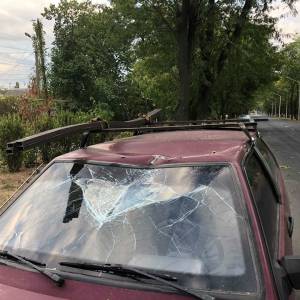 В Измаиле на проспекте Суворова на ходу на автомобиль упала ветка (ФОТО)