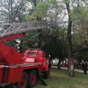 В Измаиле в центре города мужчина залез на дерево и поджег его. Понадобилась помощь спасателей (ФОТО, ВИДЕО)