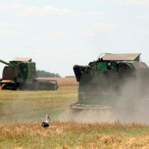 Украина продолжает бить рекорды по экспорту зерна