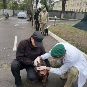 В Измаильском погранотряде проверили состояние здоровья четвероногих охранников госграницы (ФОТО)