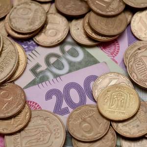 Реалистичный бюджет может быть составлен после переписи населения Украины – эксперт