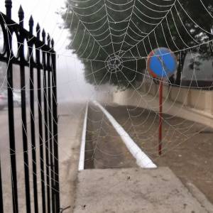 Погода в Измаиле 21 октября