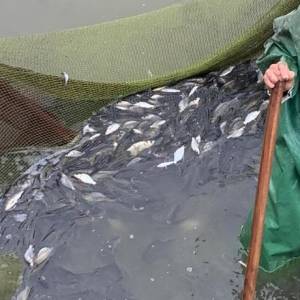 Озеро Ялпуг начали зарыблять